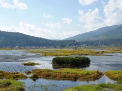 -腾冲北海湿地