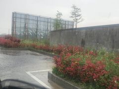 -安飞驰驾校·学车连锁(金高店)