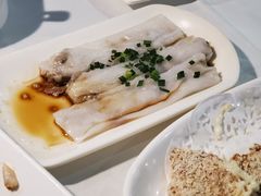 -云中小雅