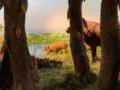 -国家自然博物馆