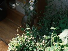 -北马山庄植趣咖啡