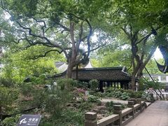 -上海醉白池公园
