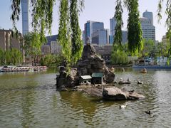 -团结湖公园