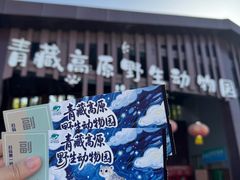 -青藏高原野生动物园