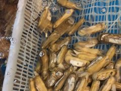 -和源祥·日照菜扛把子(万平口一店)