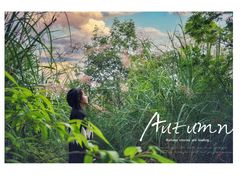 -桤木河湿地公园