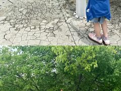 -史努比缤纷世界
