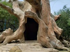 -燕塞湖鸟语林景区