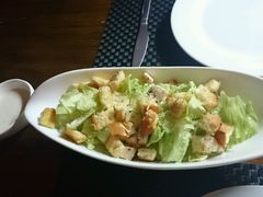 -百好乐宠物友好餐厅(朝外大街店)