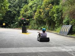 -圣淘沙天际线斜坡滑车