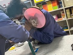 -半岛宠物医院24小时(科华中路店)