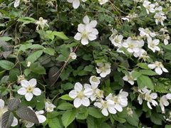 -敬亭山风景名胜区