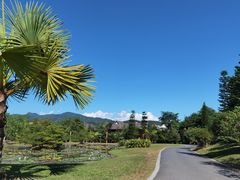 -中国科学院西双版纳热带植物园