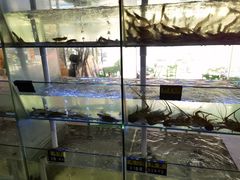 -海之鲜大排档(东山海鲜金銮湾店)