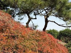 -中国茶叶博物馆(双峰馆区)