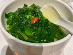 泉水豆苗-广舟(千禧店)