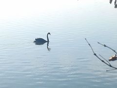 -天津东丽湖风景区