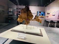 -北京周口店北京人遗址博物馆