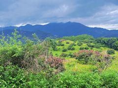 -广州市石门国家森林公园