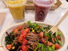 -油梨树 AVOCADO TREE(亮马桥店)