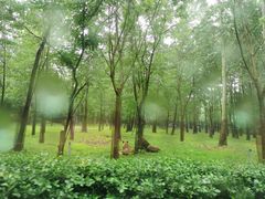 -秦皇岛野生动物园