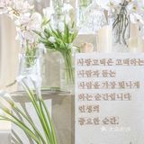 白色与任何婚礼场景都非常容易搭配