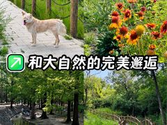 -白水寺森林公园