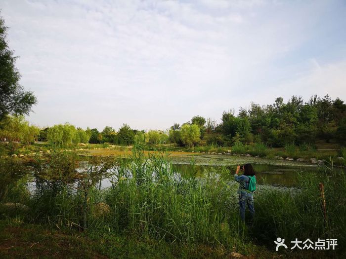 桃花潭溼地公園-圖片-西安周邊遊-大眾點評網