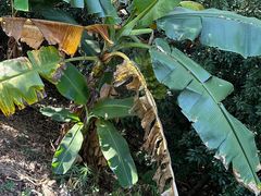 -水濂山森林公园