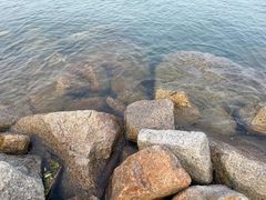 -深圳湾公园(南山区)