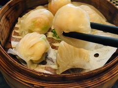 -新兴·金羊座·粤菜点心(乐峰店)