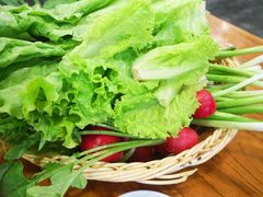 -老保定驴肉馆(云岗路店)