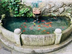 -黔灵山公园