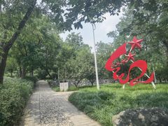 -阳台山自然风景区