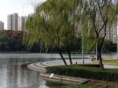 -白塘生态植物园