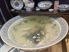 -南京金牛湖巨碗鱼头