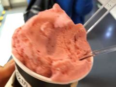 -野人牧坊Gelato(天津南开大悦城店)