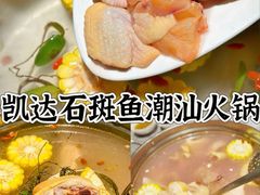 -张凯达·深海石斑鱼潮汕火锅(十五年品牌•虹桥天街店)