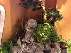 -巢爷老味(东方红店)