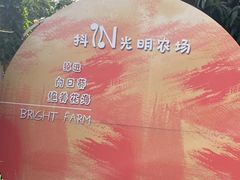 -光明农场大观园