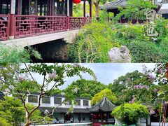 -上海醉白池公园