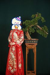 -CD视觉婚纱摄影
