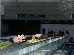 -杭州萧山国际机场