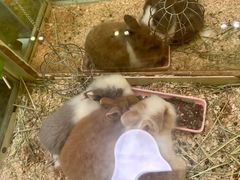 -龙猫仔乐园(惠福东路店)