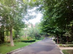 -天鹅湖生态旅游风景区