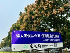 -玄武湖景区-情侣园游乐场