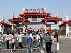 -曹州牡丹园