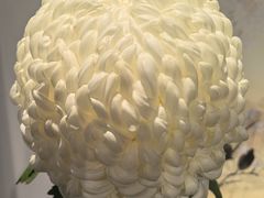 -汇龙潭