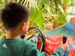 -南宫五洲植物乐园