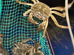 -阳澄湖大闸蟹·琼灵阁牌品牌连锁(吴中总店)